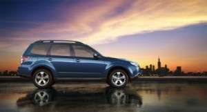 _Forester