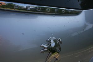 IMG_0101