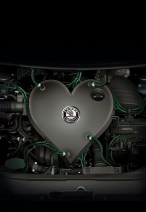 Skoda kış kampanyası görsel 2 (500×727) (440×640)