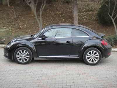the beetle test