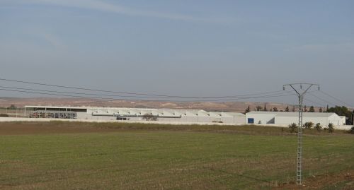 RenaultGroup_63243_global_fr