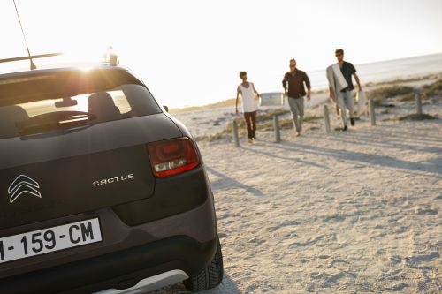 1475655661_citroen_c4_cactus_rip_curl__2_